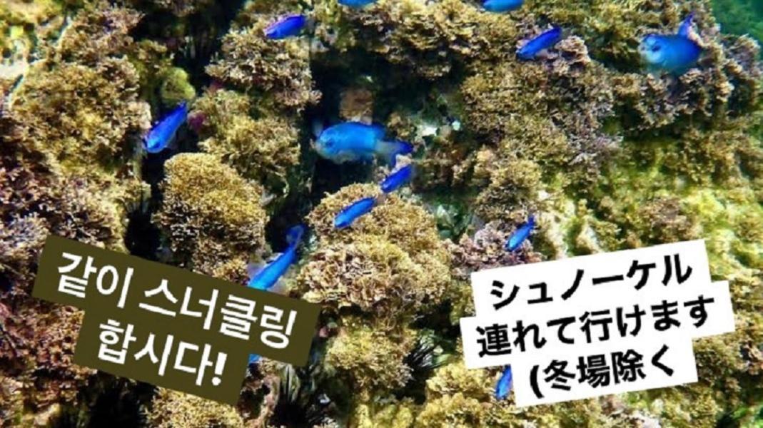 Plage Yuigahama Kamakura Zewnętrze zdjęcie