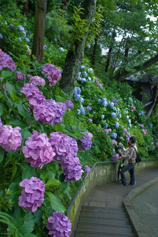 Plage Yuigahama Kamakura Zewnętrze zdjęcie